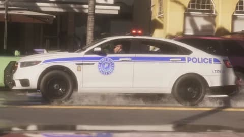 Lowline (police)