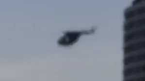 Buzzard