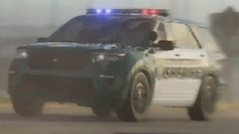 Montagne (police)